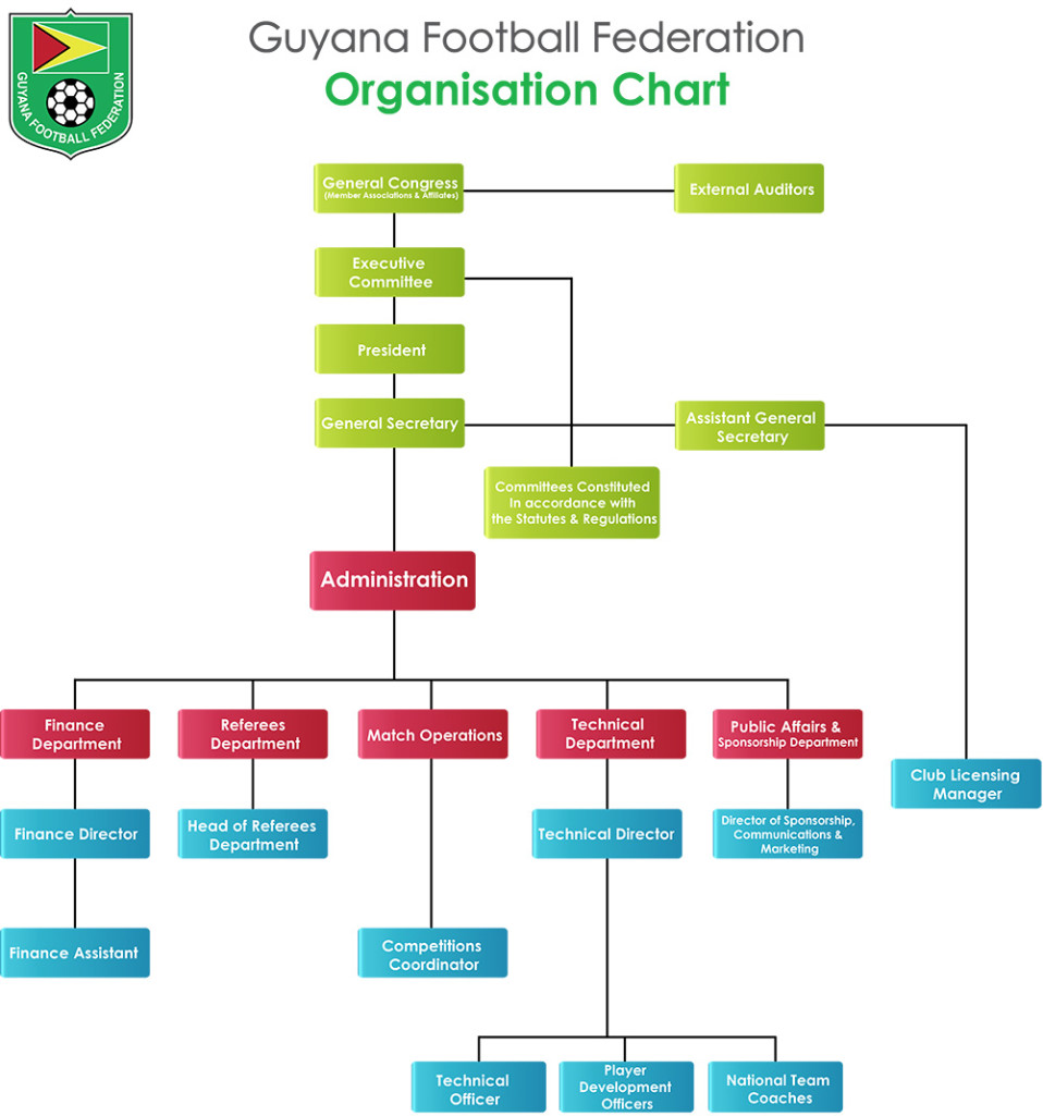 Organizational Chart Sports Management
